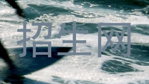 招生网