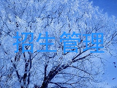 招生管理