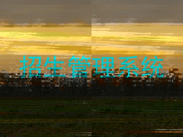 招生管理系统