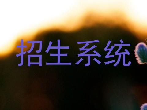 招生系统