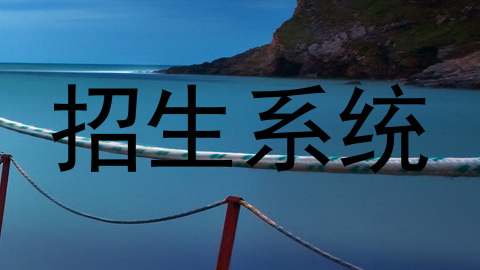 招生系统