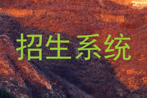 招生系统