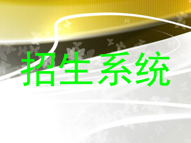 招生系统