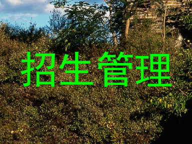 招生管理