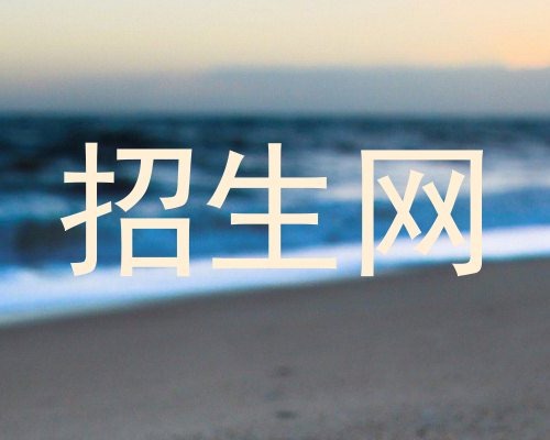 招生网