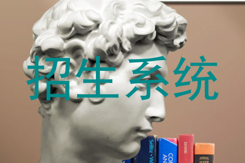 招生系统