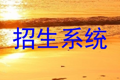 招生系统