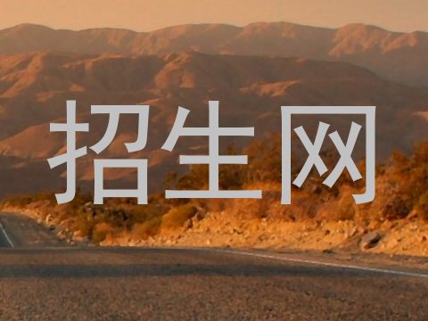 招生网