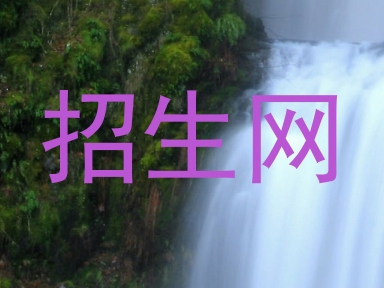 招生网