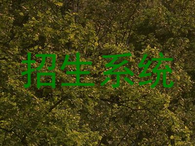 招生系统