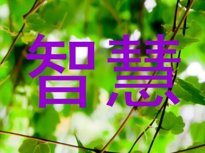 智慧