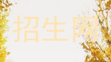 招生网