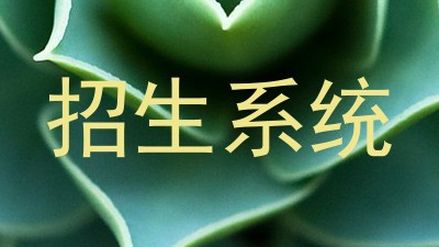 招生系统