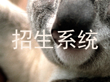 招生系统