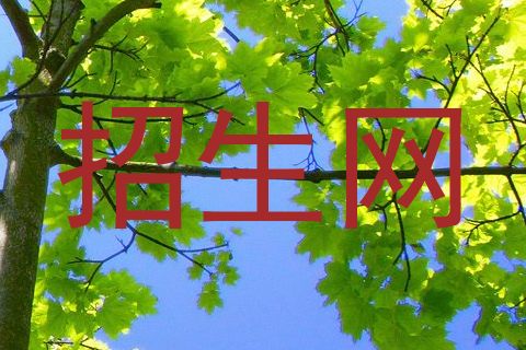 招生网