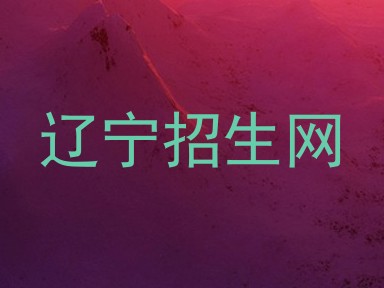 辽宁招生网