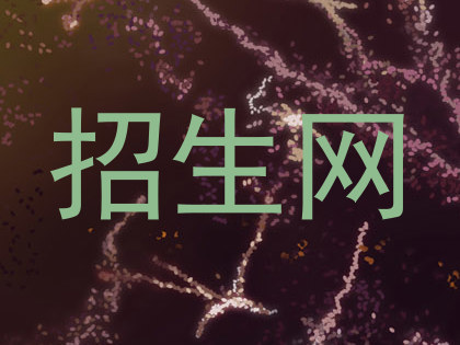 招生网