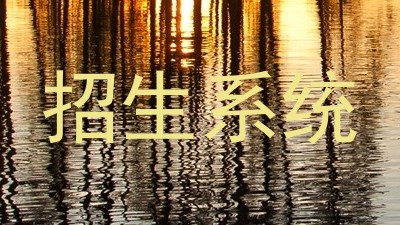 招生系统