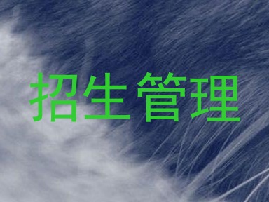 招生管理