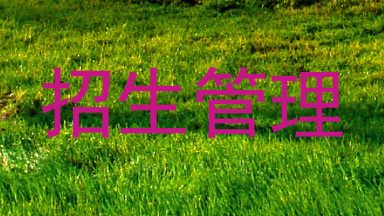 招生管理
