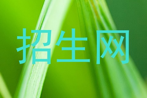 招生网