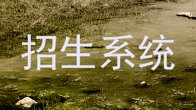 招生系统