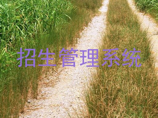 招生管理系统