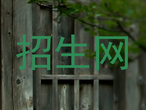 招生网