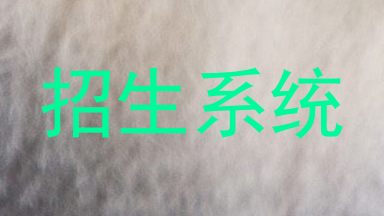 招生系统