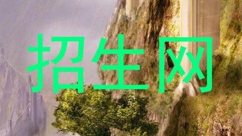 招生网