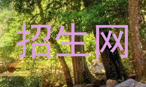 招生网
