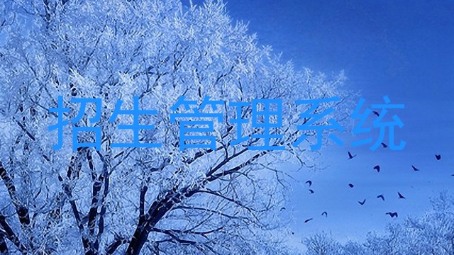 招生管理系统