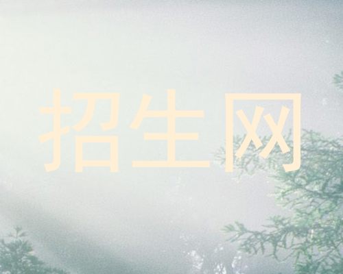 招生网