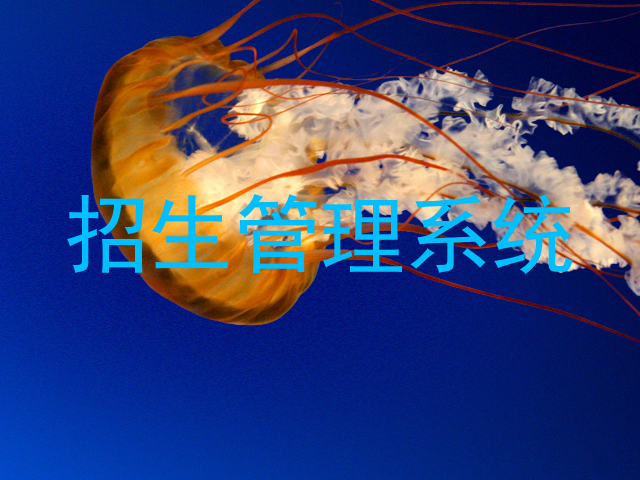 招生管理系统