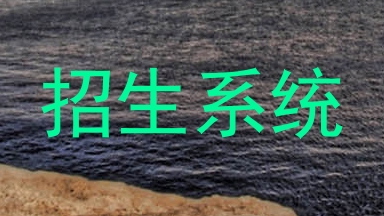 招生系统