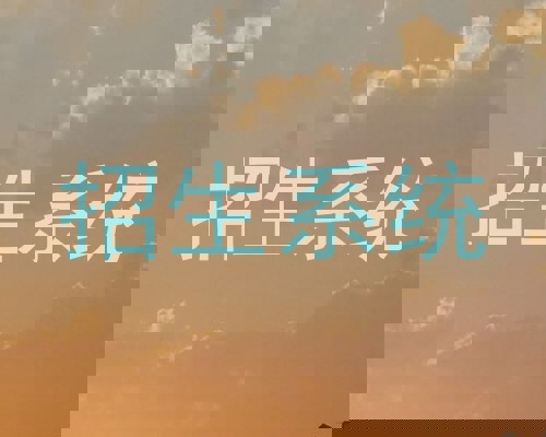 招生系统
