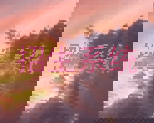 招生系统