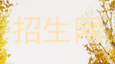招生网