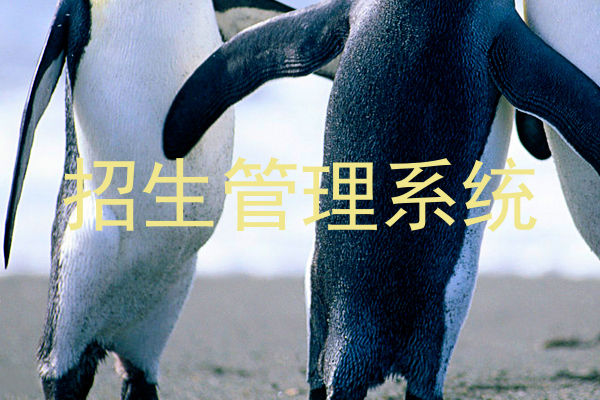 招生管理系统