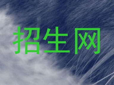 招生网