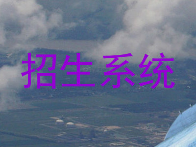 招生系统