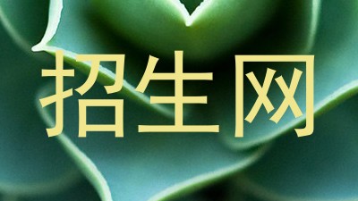 招生网