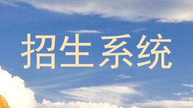 招生系统