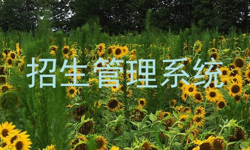 招生管理系统