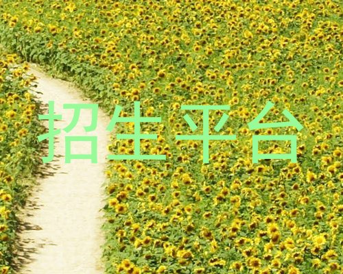招生平台
