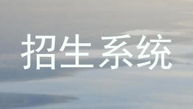 招生系统