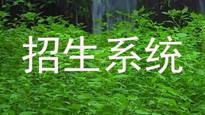 招生系统