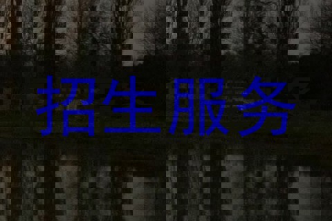 招生服务