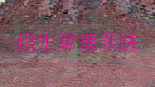 招生管理系统