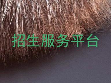 招生服务平台